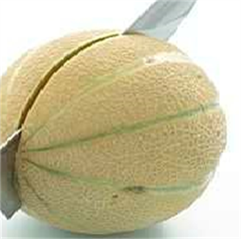 Melon Cantaloupe  Bama