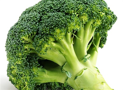 Broccoli  400gr. 15stk pr.ks  Bama