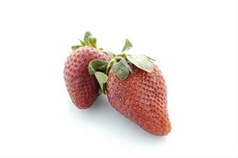 Jordbær Import 500gr. 12stk pr.ks  Bama