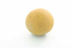 Melon Galia 5,0 kg/ks  Bama